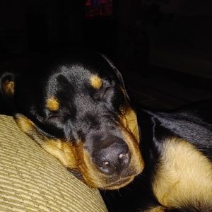 Meet your Posher, Terra